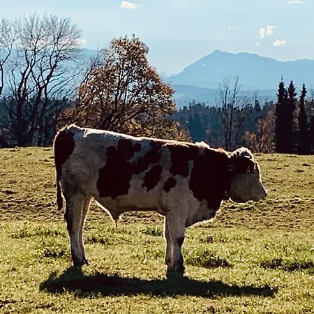 Βίλα Weitblick Am Mangfalltal Feldkirchen-Westerham